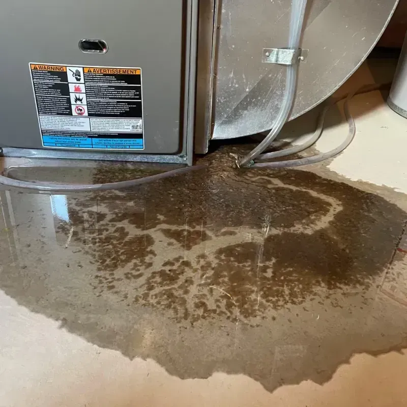 Appliance Leak Cleanup in Perry, IA